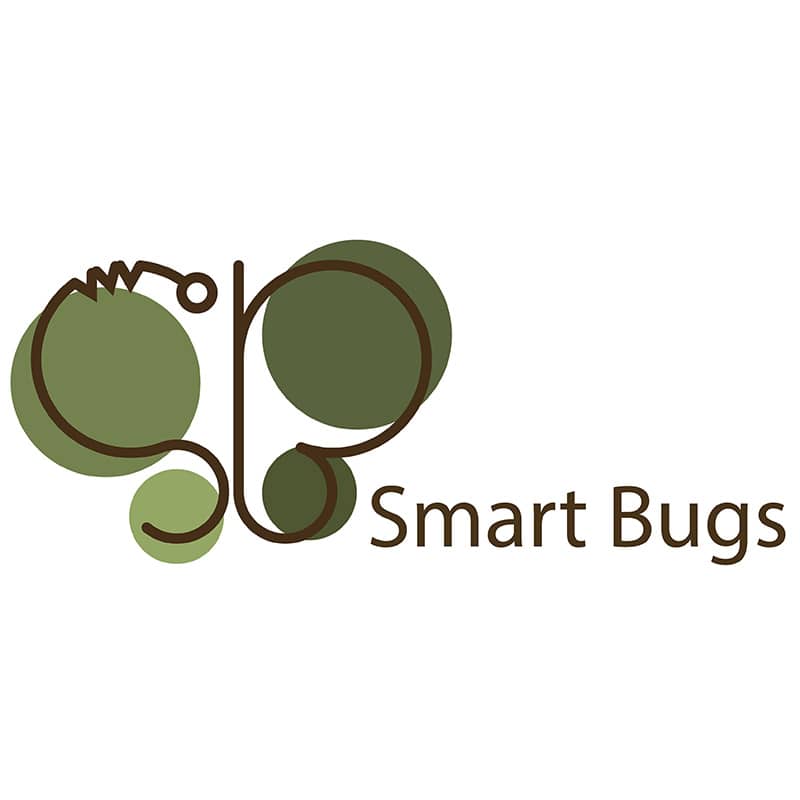 SMART BUGS
